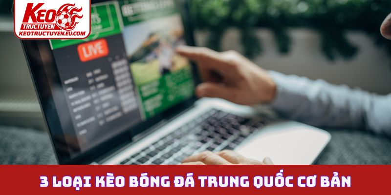 3 loại kèo bóng đá Trung Quốc cơ bản