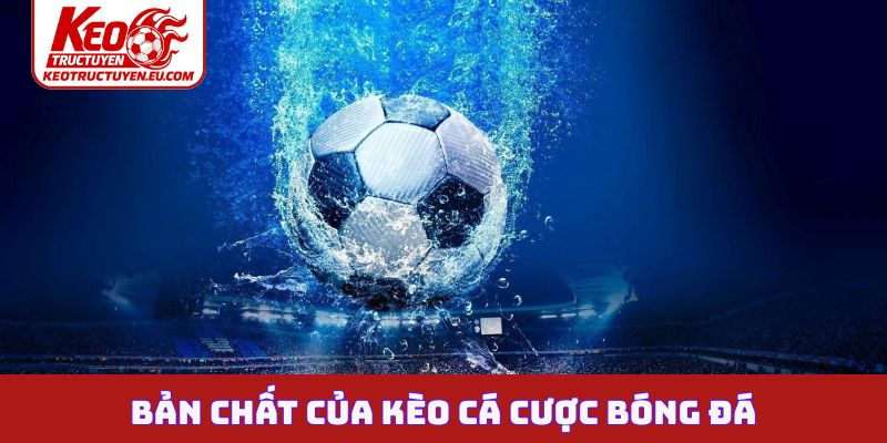 Bản chất của kèo cá cược bóng đá