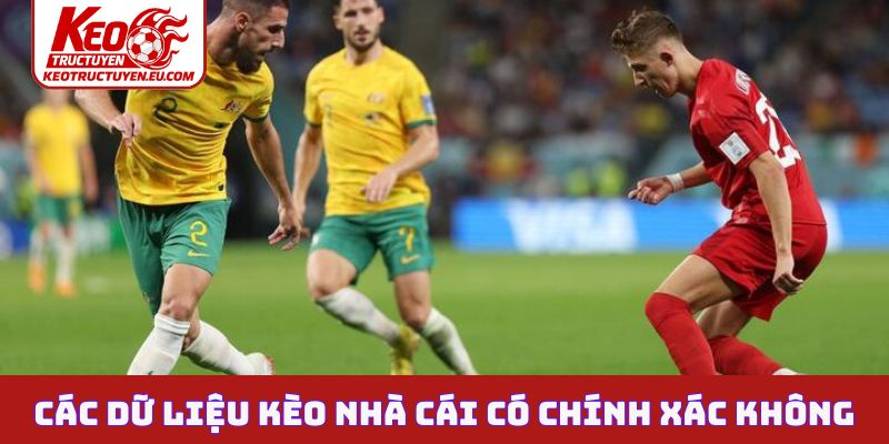 Các dữ liệu kèo nhà cái có chính xác không?