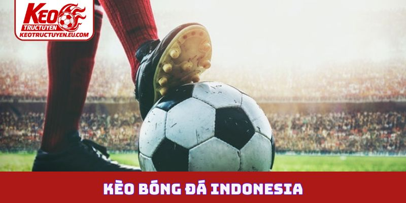 Kèo bóng đá Indonesia