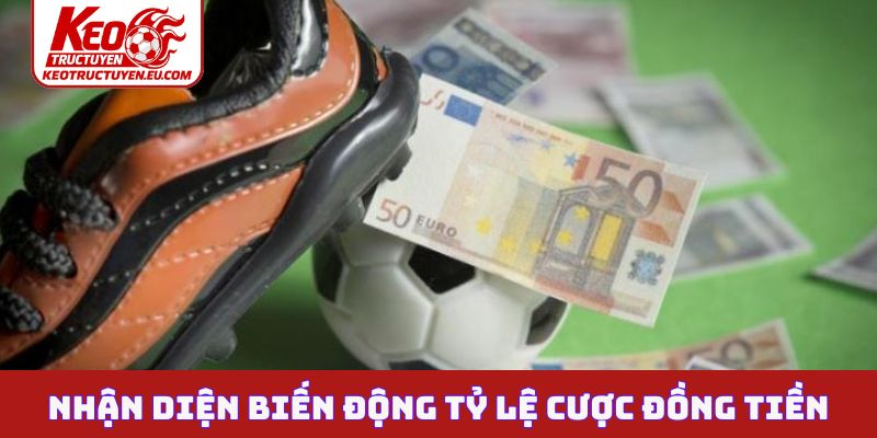 Nhận diện biến động tỷ lệ cược đồng tiền