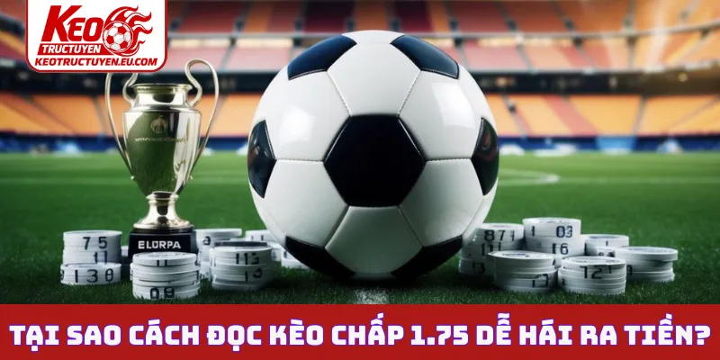Tại sao cách đọc kèo chấp 1.75 dễ hái ra tiền?