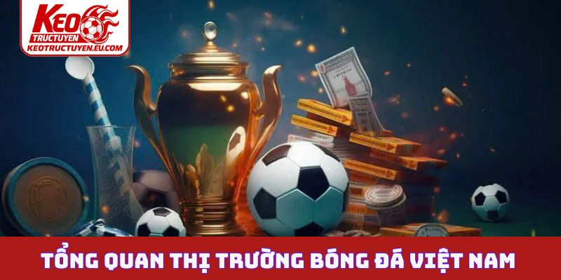 Tổng quan thị trường bóng đá Việt Nam