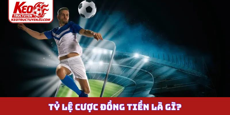 Tỷ lệ cược đồng tiền là gì?